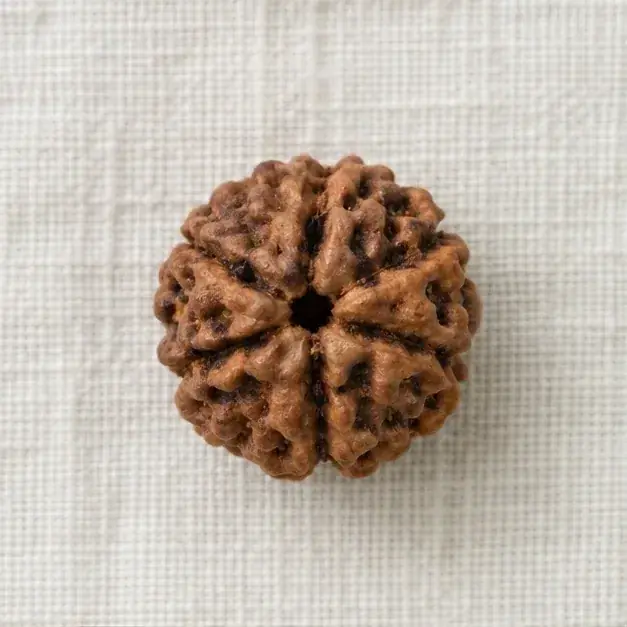Indian cinema-inspired editorial styling with 7 Mukhi Rudraksha Bead jewellery