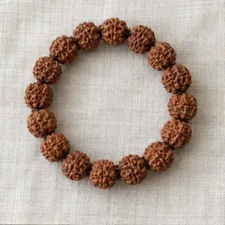 7 Mukhi Rudraksha Bracelet Saat Mukhi Bracelet natural Vedic gemstone